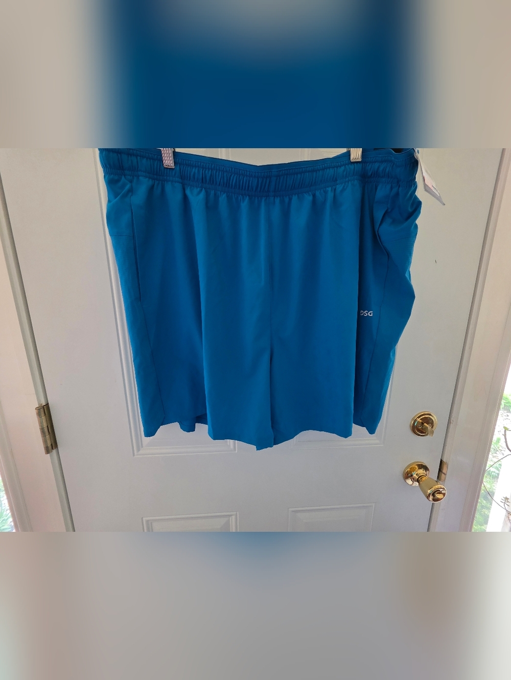 Men's DSG Shorts Size XXL New With Tags